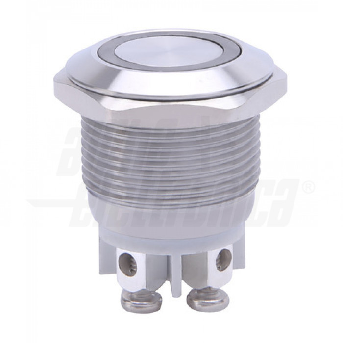 10 Pulsanti Momentanei 19mm - Acciaio, Impermeabili IP65, 12-250V