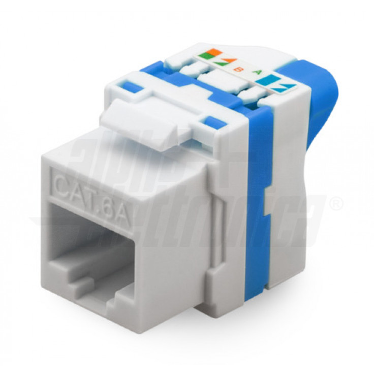 Presa A Muro RJ45 CAT 6a Modulo Keystone 10 Gbps – Schermata, Bianco Segnale RAL9003, Per CAT5e/6/6a